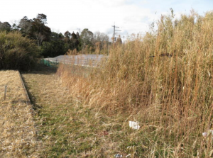 大網白里市細草、土地の画像です