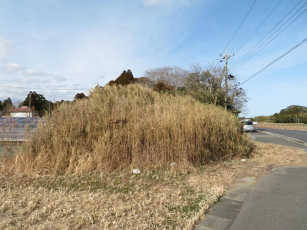 大網白里市細草、土地の画像です