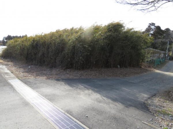 大網白里市細草、土地の画像です
