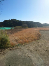 茂原市猿袋、土地の画像です