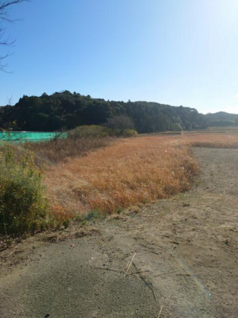 茂原市猿袋、土地の画像です