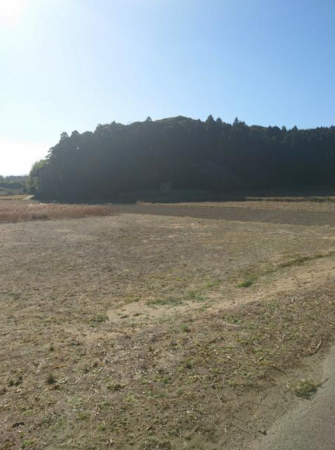茂原市猿袋、土地の画像です