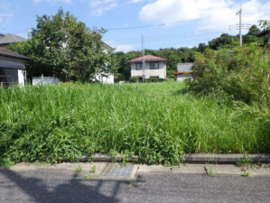 大網白里市柳橋、土地の画像です