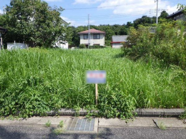 大網白里市柳橋、土地の画像です
