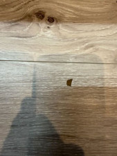 茂原市東郷、中古一戸建てのその他画像です