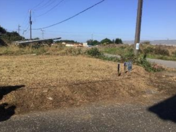 大網白里市北今泉、土地の画像です