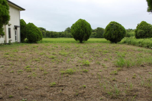 大網白里市細草、土地の外観画像です