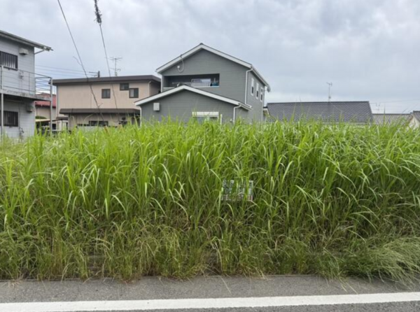 茂原市東郷、土地のその他画像です