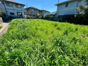 茂原市高師、土地のその他画像です