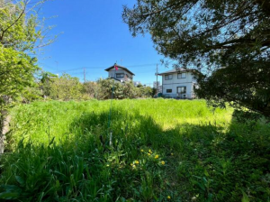茂原市高師、土地のその他画像です