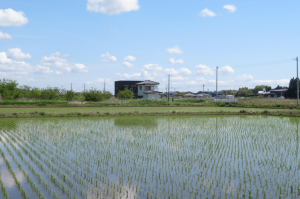 茂原市本納、土地の画像です