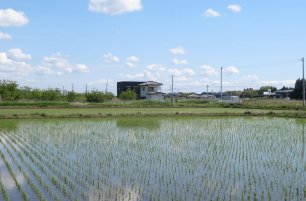 茂原市本納、土地の画像です