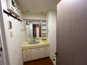 茂原市早野、中古マンションの洗面画像です
