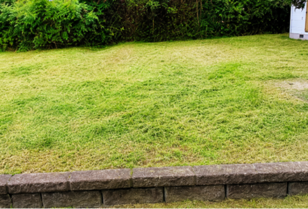 茂原市粟生野、土地の画像です