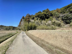 茂原市台田、土地のその他画像です