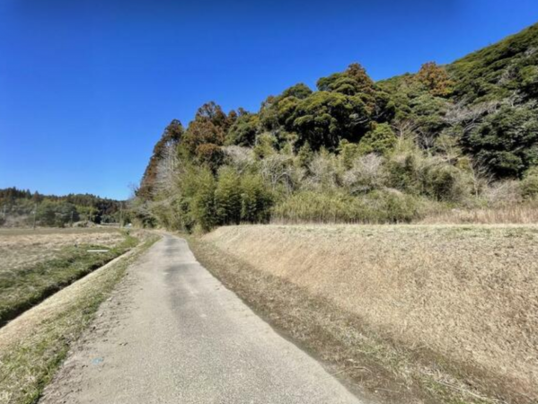 茂原市台田、土地のその他画像です