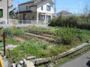 大網白里市上貝塚、土地のその他画像です