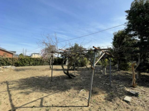 茂原市東郷、土地の外観画像です