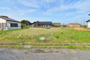 大網白里市南今泉、土地のその他画像です
