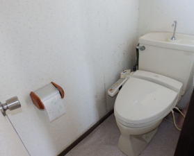 大網白里市細草、中古一戸建てのトイレ画像です