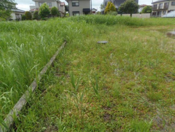 大網白里市南横川、土地のその他画像です
