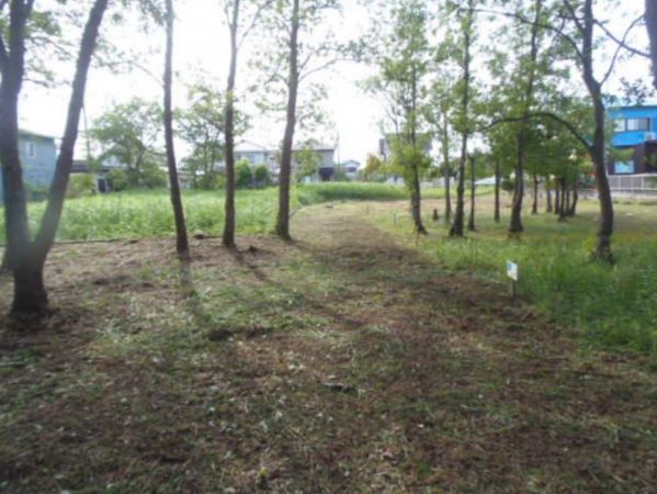 大網白里市南横川、土地のその他画像です
