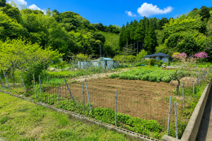 茂原市真名、中古一戸建ての画像です