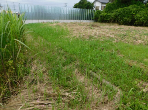 大網白里市南横川、土地のその他画像です