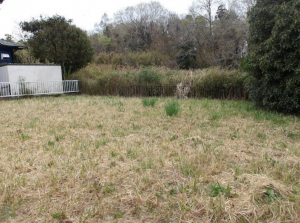 茂原市弓渡、土地の画像です