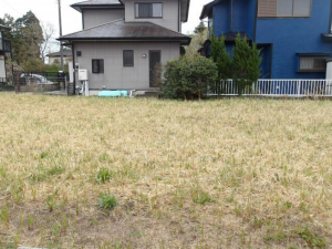 茂原市弓渡、土地の画像です