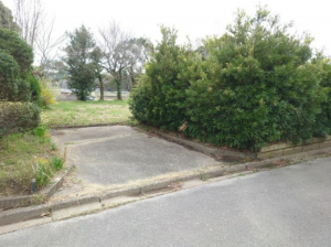 大網白里市金谷郷、土地のその他画像です