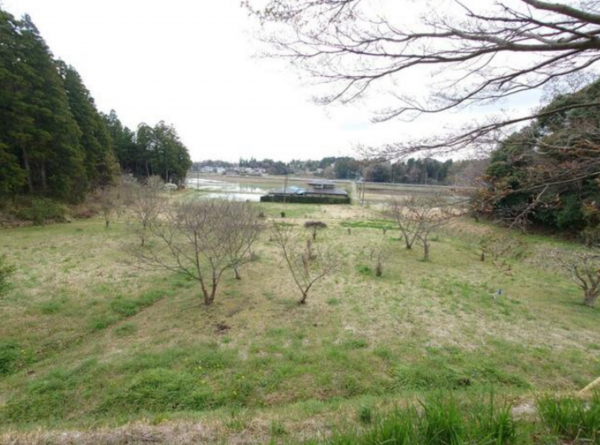 大網白里市金谷郷、土地のその他画像です