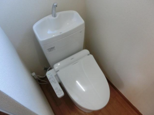 茂原市東郷、中古一戸建てのトイレ画像です