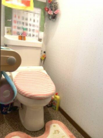 東金市高倉、中古一戸建てのトイレ画像です