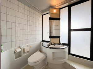 大網白里市北今泉、中古一戸建てのトイレ画像です