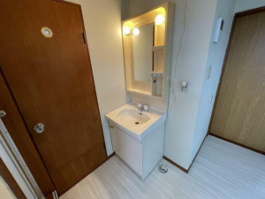 茂原市東郷、収益物件/アパートの洗面画像です