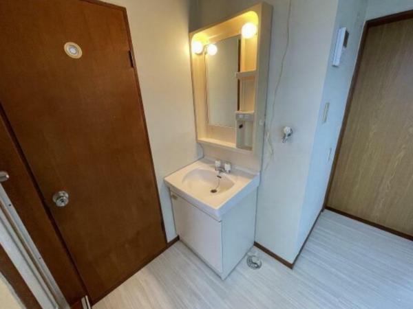 茂原市東郷、収益物件/アパートの洗面画像です