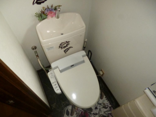 大網白里市細草、中古一戸建てのトイレ画像です