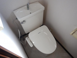 東金市中野、収益物件/アパートのトイレ画像です