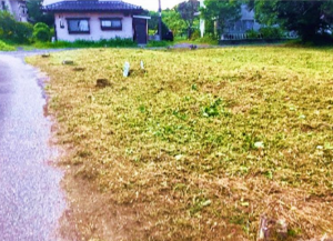 茂原市南吉田、土地のその他画像です