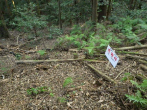 岡崎市本宿町、土地の画像です