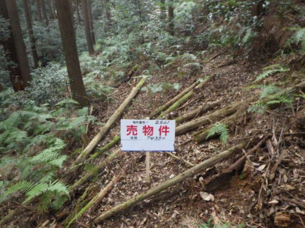岡崎市本宿町、土地の画像です