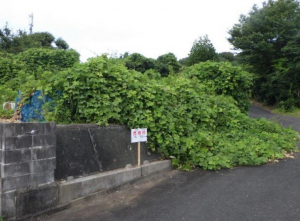 岡崎市藤川町、土地の画像です