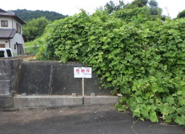 岡崎市藤川町、土地の画像です