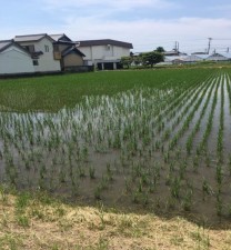岡崎市上青野町、土地の外観画像です