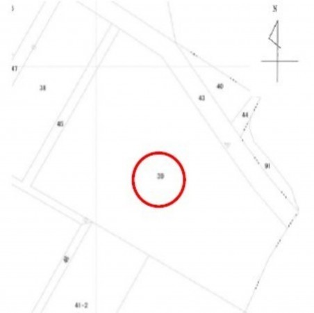 岡崎市定国町、土地の画像です