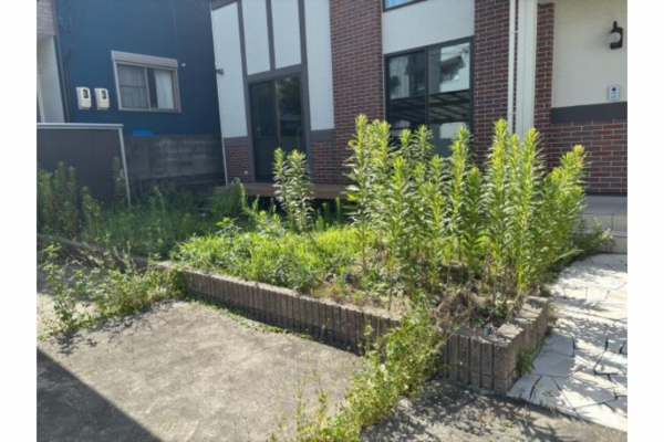 岡崎市若松町、中古一戸建てのエントランス画像です