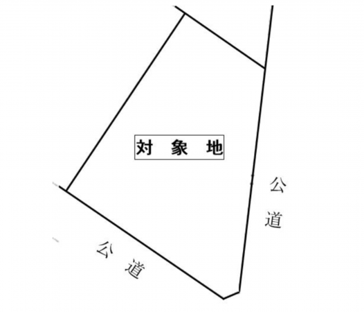 岡崎市坂左右町、土地の間取り画像です