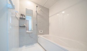 岡崎市野畑町、新築一戸建ての画像です