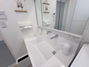 岡崎市柱、中古一戸建ての洗面画像です